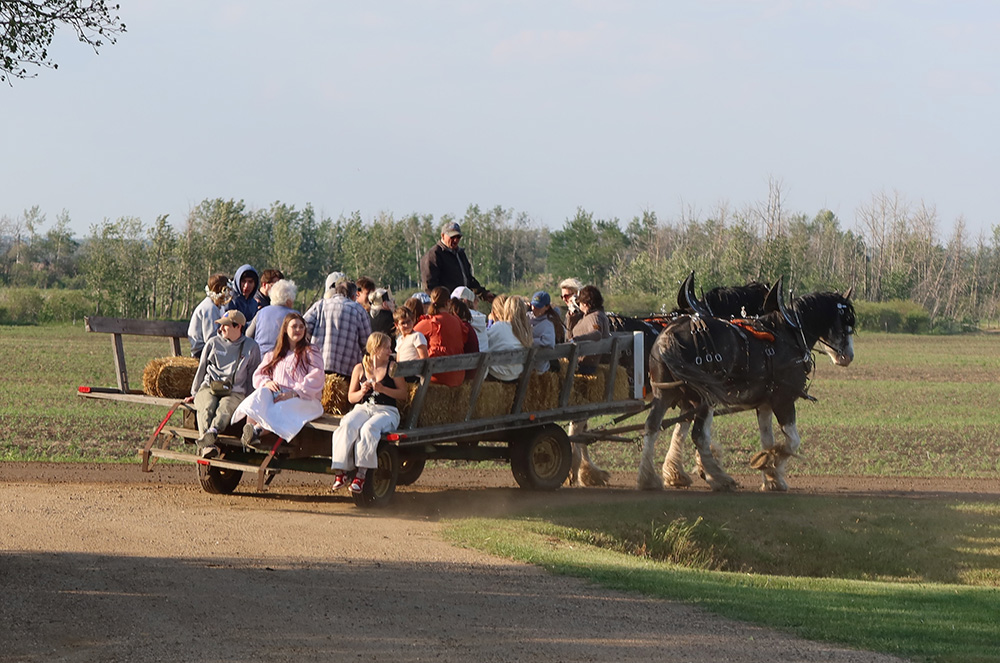 wagon ride on the prair powered by Clydesdale horses