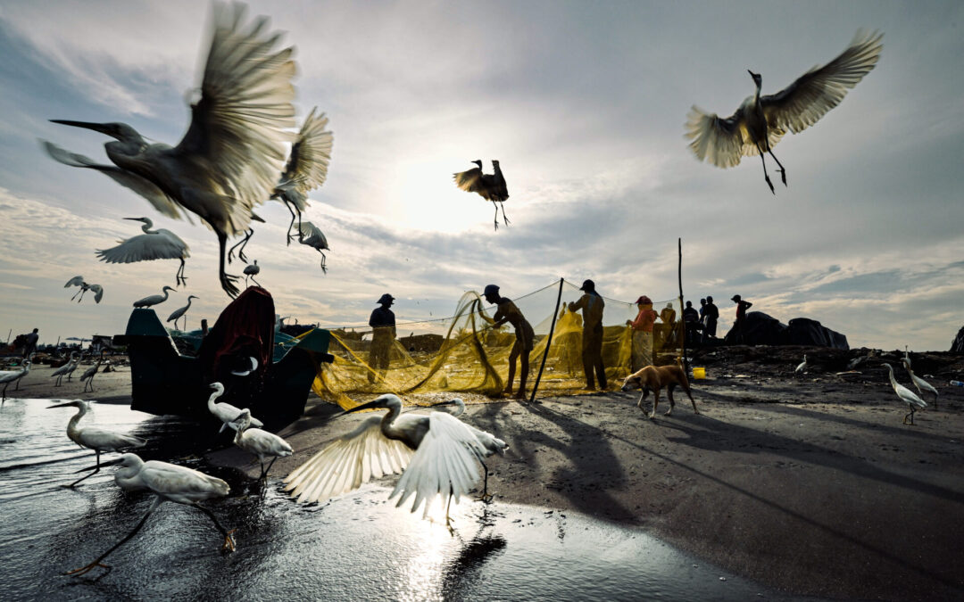 AEHS 2025 Photo Contest Winners