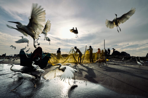 AEHS 2025 Photo Contest Winners